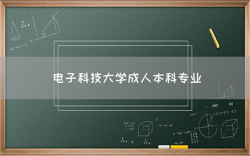 电子科技大学成人本科专业