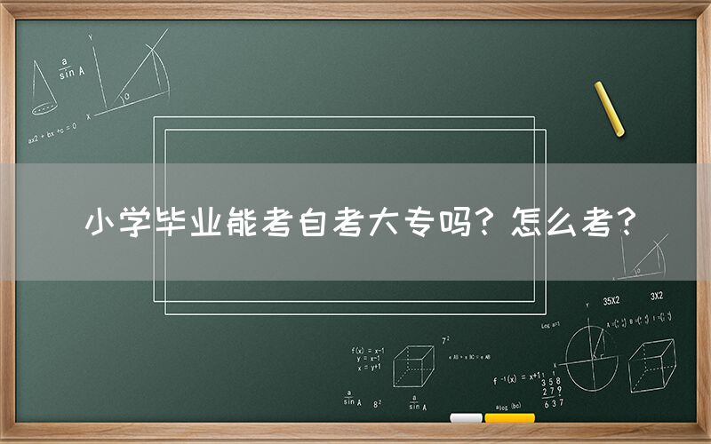 小学毕业能考自考大专吗？怎么考？(图1)