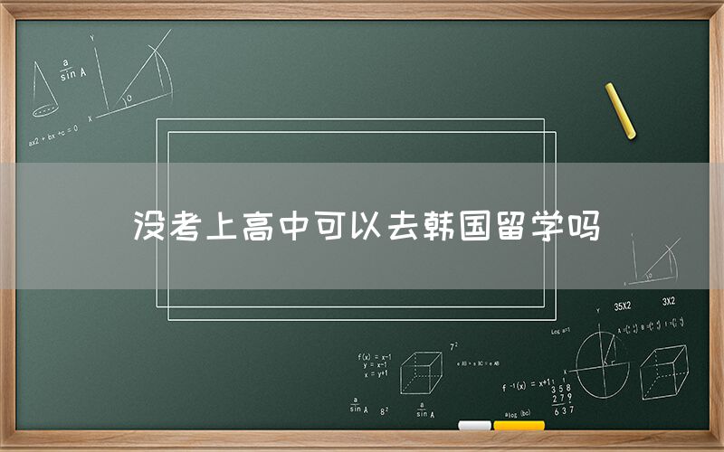 没考上高中可以去韩国留学吗