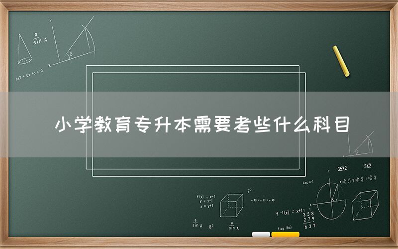 小学教育专升本需要考些什么科目(图1)