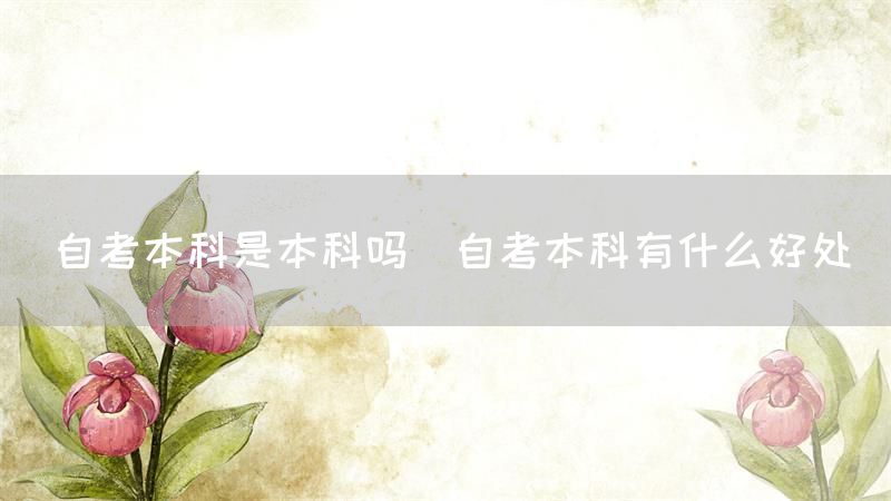 自考本科是本科吗(自考本科有什么好处)(图1)