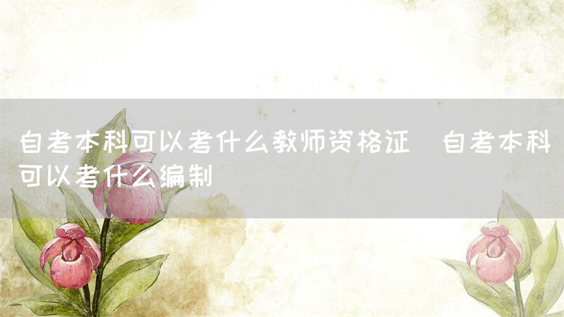 自考本科可以考什么教师资格证(自考本科可以考什么编制)(图1)