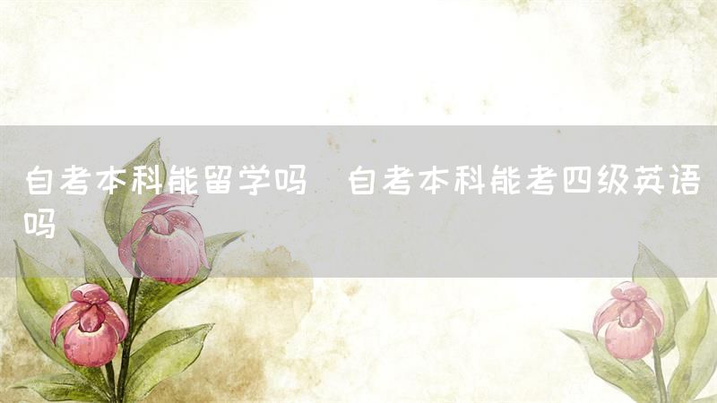 自考本科能留学吗(自考本科能考四级英语吗)(图1)