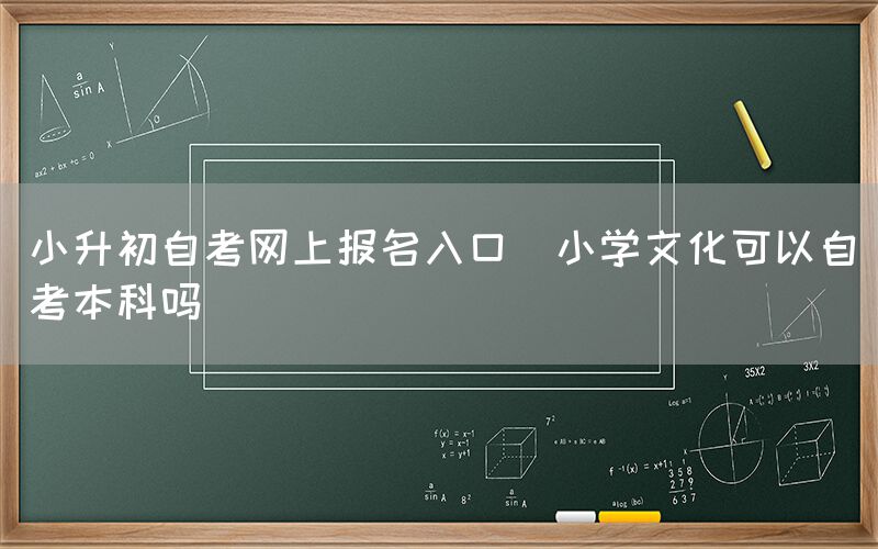 小升初自考网上报名入口(小学文化可以自考本科吗)(图1)